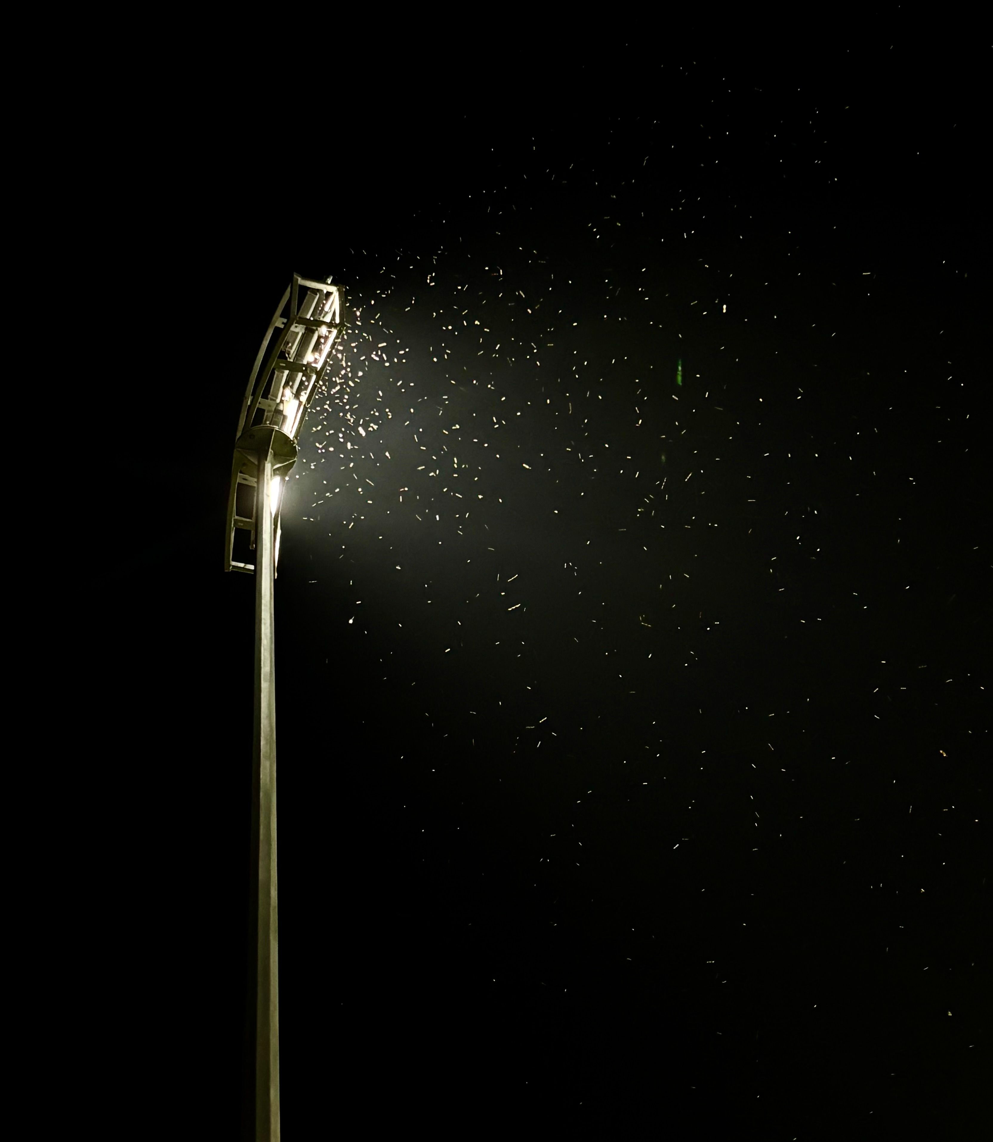 How to Choose the Right Cricket Bat for Your Playing Style