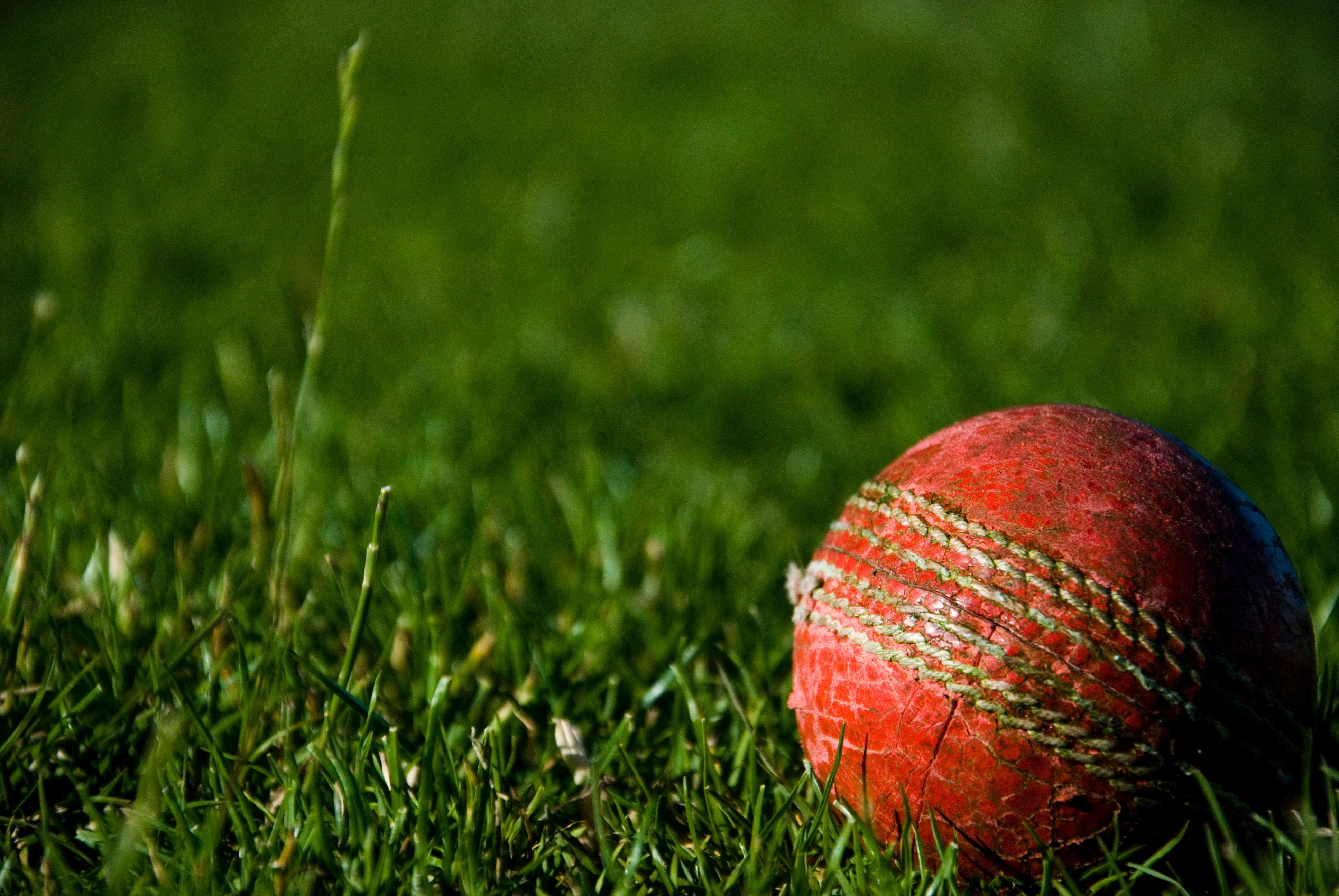 Why Balance Matters More Than Weight in a Cricket Bat